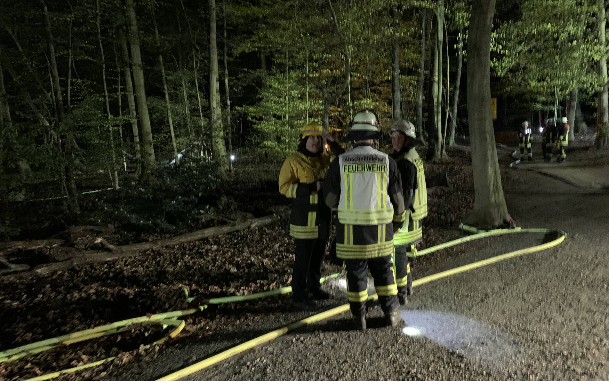 Waldbrand: Die Ermittlungen dauern an