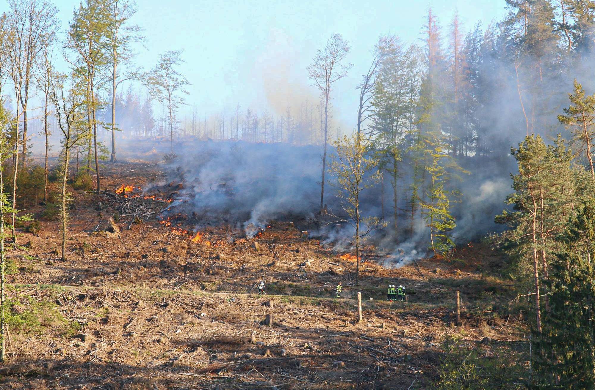 Es herrscht erhöhte Waldbrandgefahr