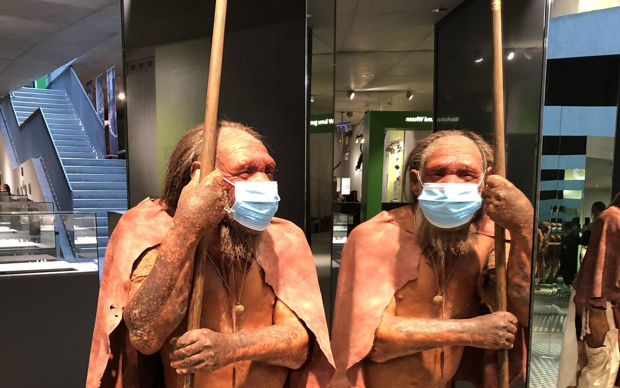  Das Neanderthal Museum hat wieder geöffnet. 