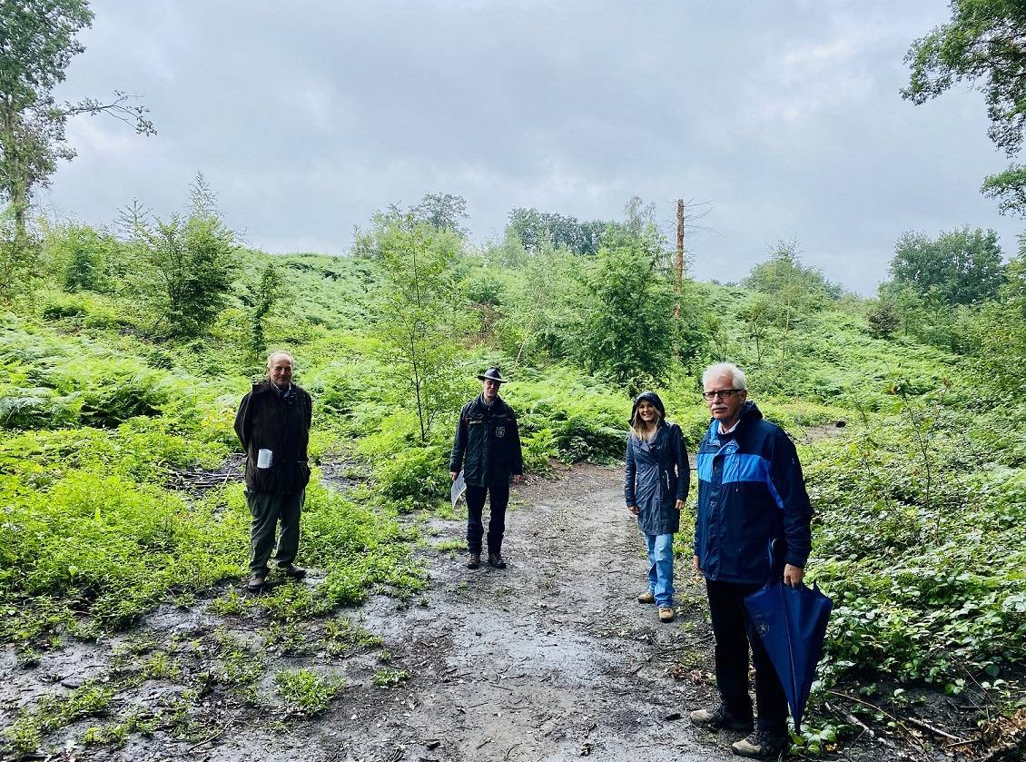 Waldsaziergang in Erkrath