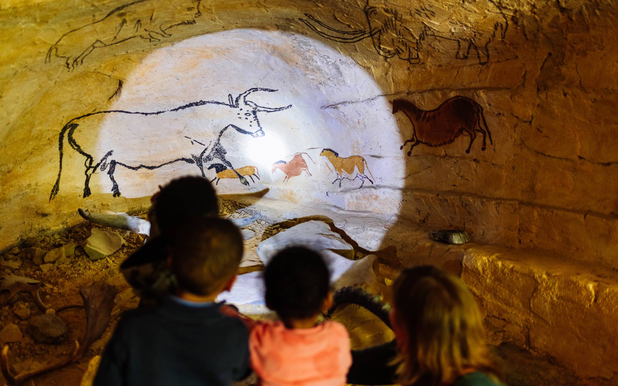  Es gibt viel zu entdecken im Neanderthal-Museum. 