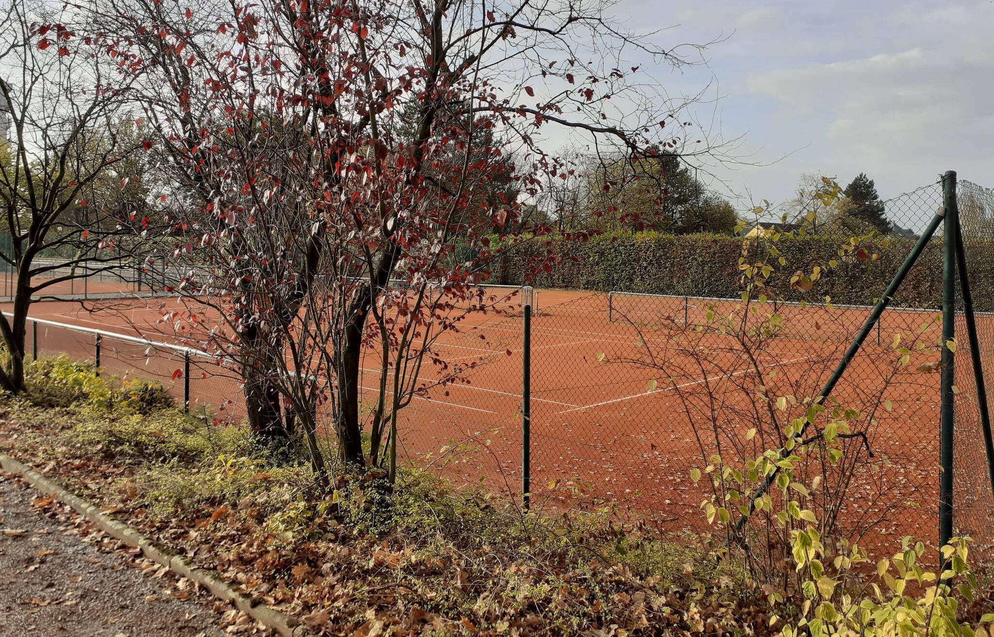 Tennisclub schläft auch in der Krise nicht