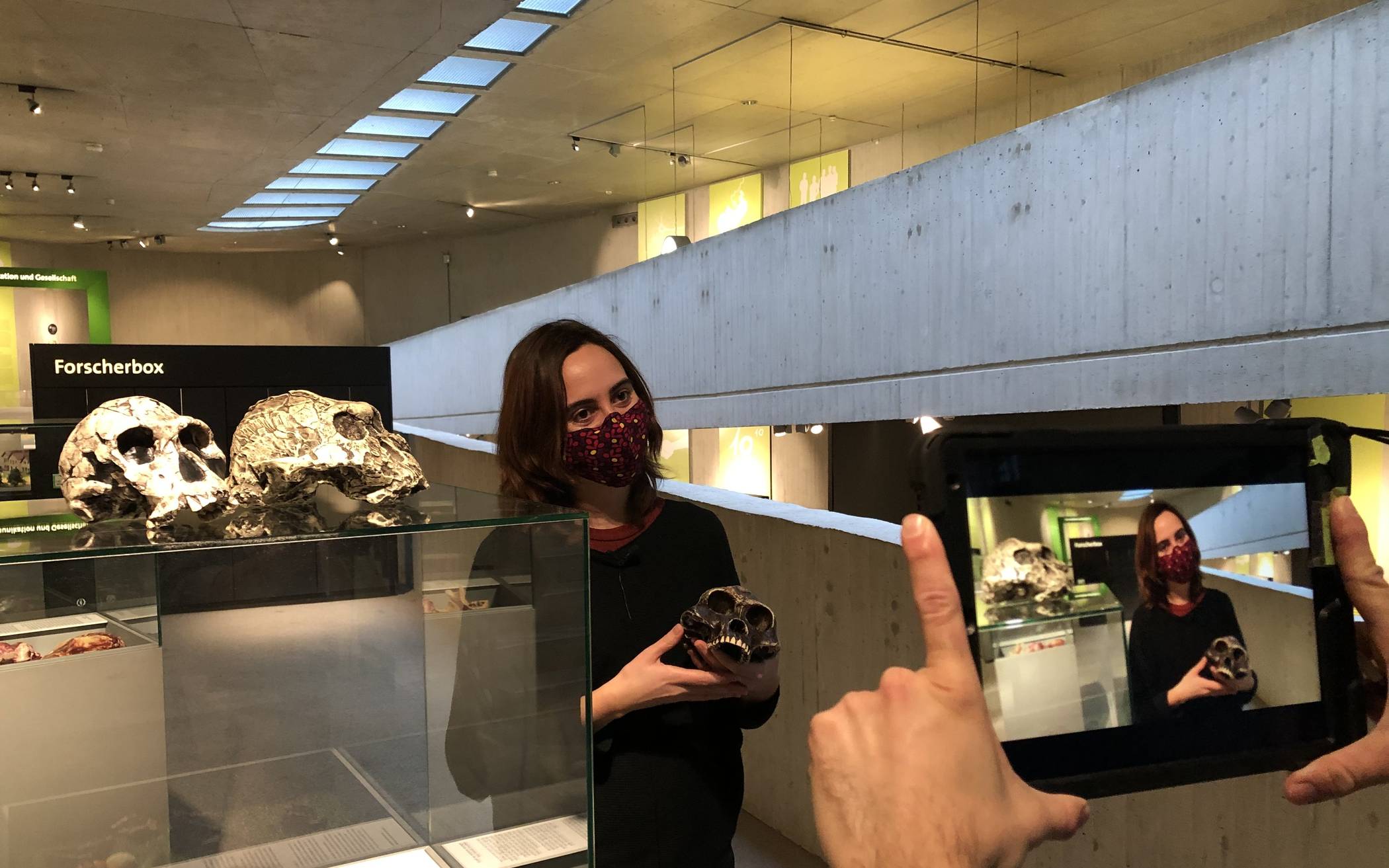 Live-Führung im Neanderthal Museum für Abiturienten
