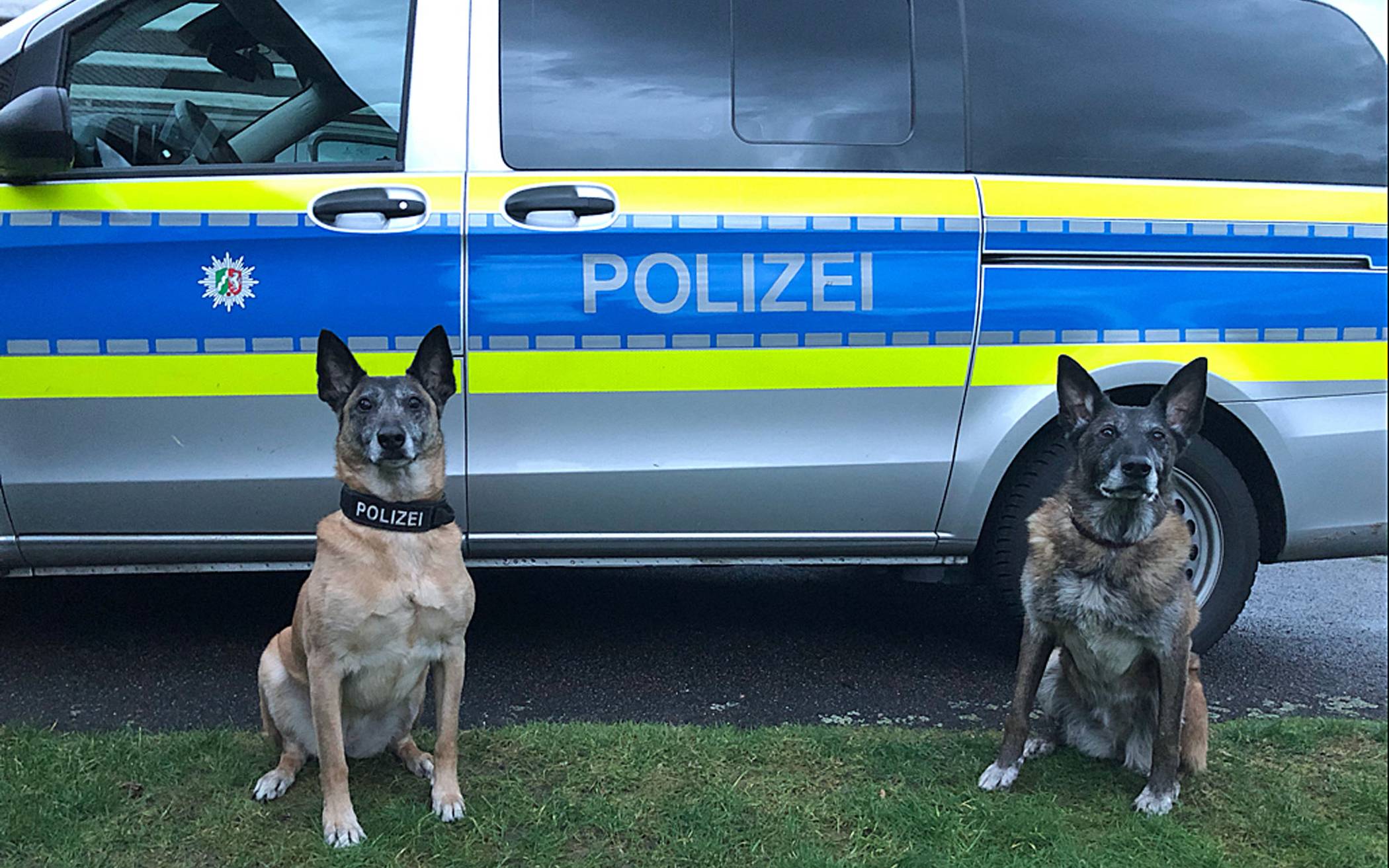  Die Polizei verabschiedet sich von ihren Spürnasen Kira und Lu! 