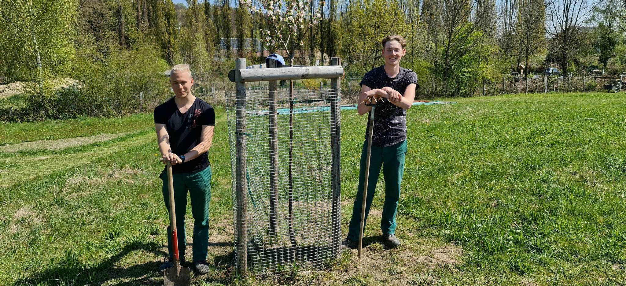 Silas Andersen (Hephata-Stiftung, li.) und Aaron Lamontagne (Freiwilliges Ökologisches Jahr) auf einer der Streuobstwiesen des Naturschutzzentrums Bruchhausen. 
